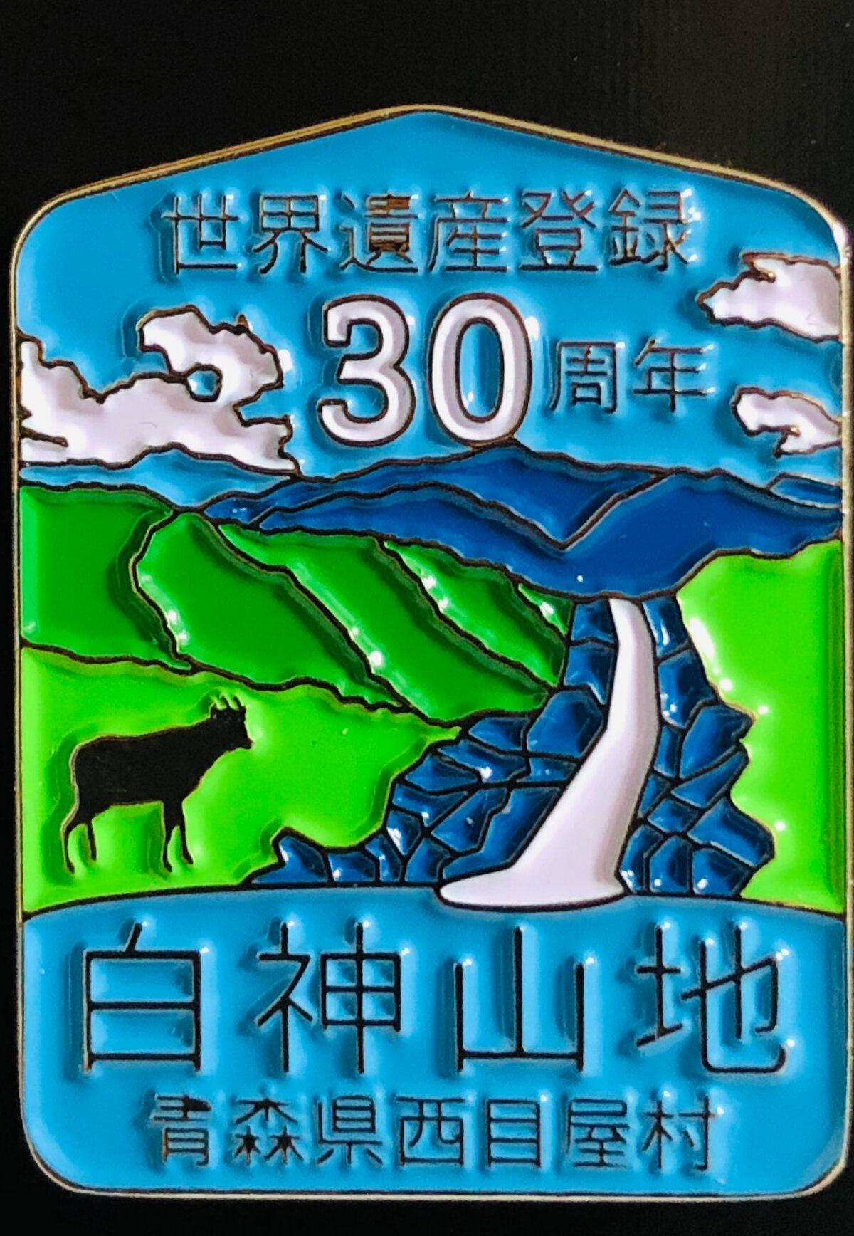 白神山地世界自然遺産登録30周年記念】宿泊記念ピンバッジプレゼント中